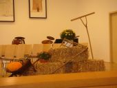DSC07821.JPG